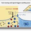 Integrating Variable Signals in Hydrogels