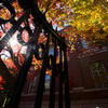 Harvard gate in fall
