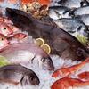 Study Tracks Mercury Sources in Seafood