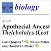 New Publication - Apothecial Ancestry, Evolution, and Re-Evolution in Thelebolales (Leotiomycetes, Fungi)