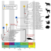 Figure 2: Time-calibrated phylogeny of sampled synapsid taxa.